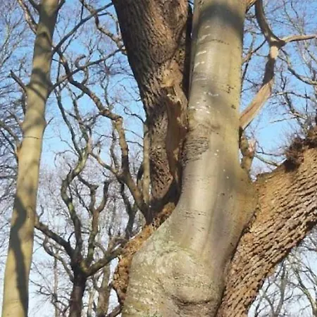 Badehotellet Lohals Nocleg ze śniadaniem