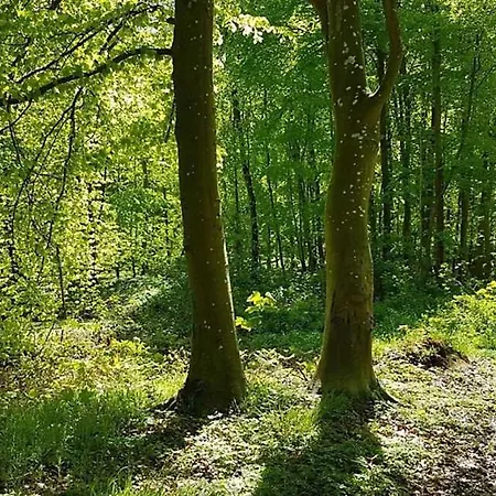 Badehotellet Lohals Nocleg ze śniadaniem *