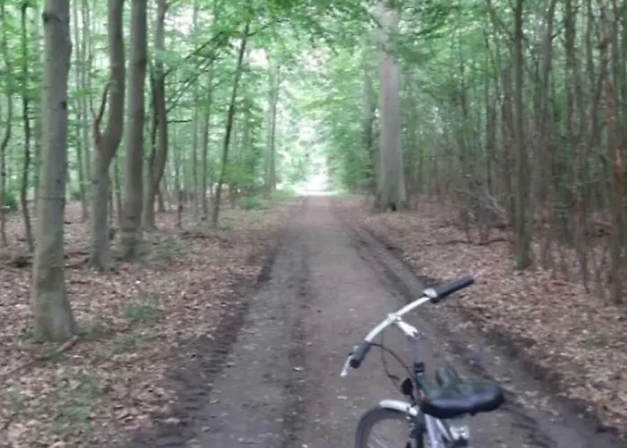 Bed & Breakfast Badehotellet Lohals *