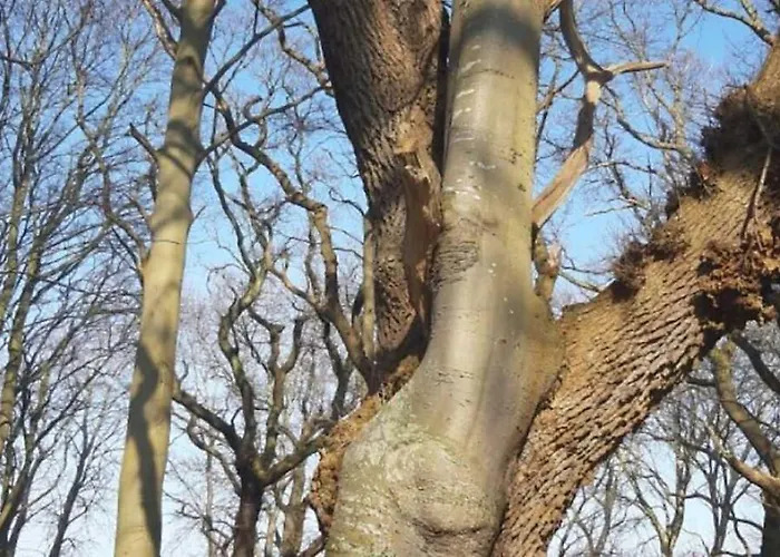 Badehotellet Lohals Bed & Breakfast