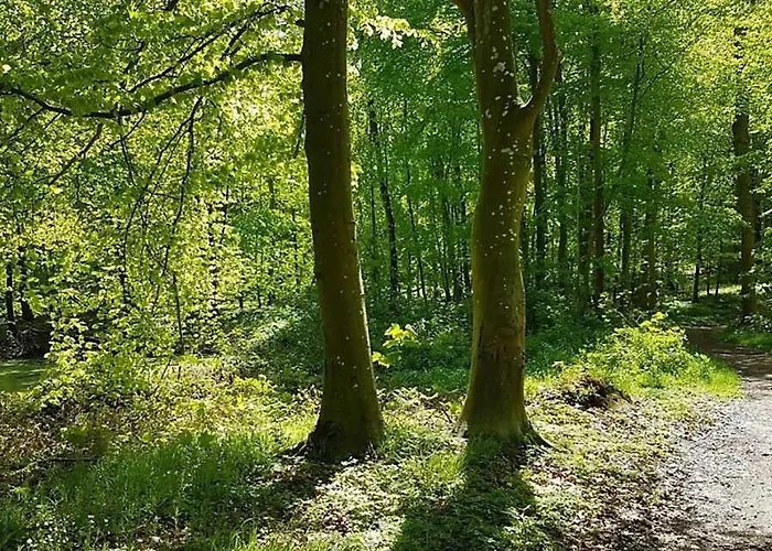 Badehotellet Lohals Bed & Breakfast *